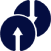 A blue dot with arrows pointing to the left.